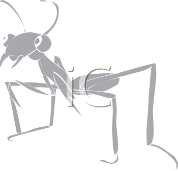 Insect Clipart