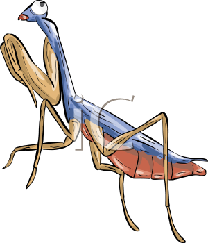 Insect Clipart