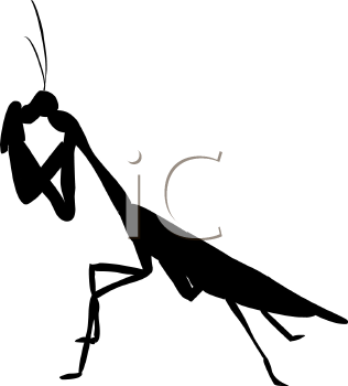 Insect Clipart