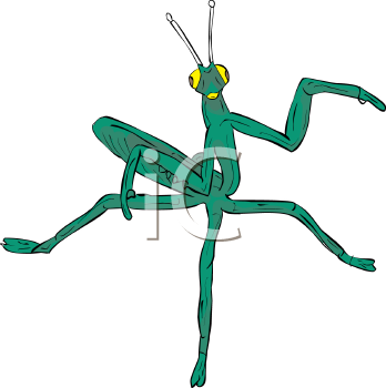 Insect Clipart