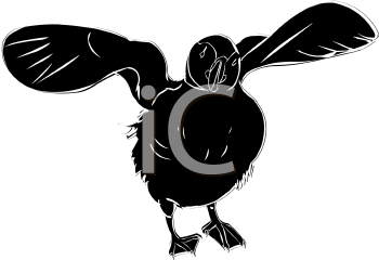 Bird Clipart