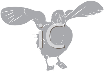 Bird Clipart