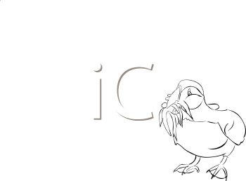 Bird Clipart