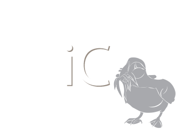 Bird Clipart