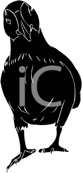 Bird Clipart