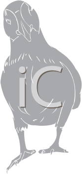 Bird Clipart