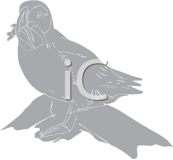 Fish and Sea Life Clipart