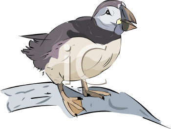 Bird Clipart