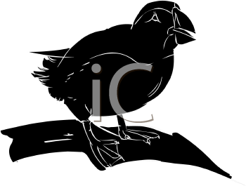 Bird Clipart