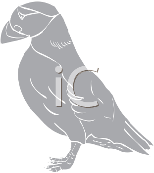 Bird Clipart