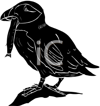 Bird Clipart