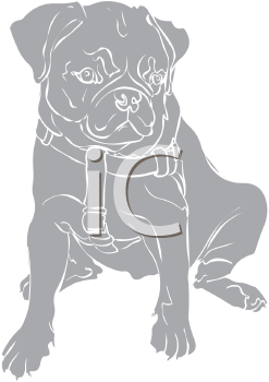 Pet Clipart