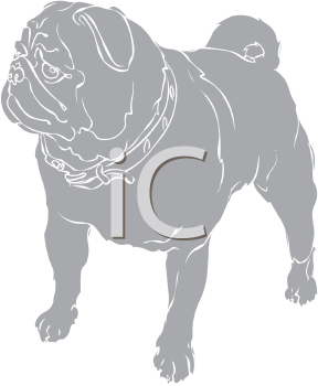 Pet Clipart