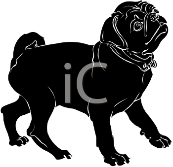 Pet Clipart