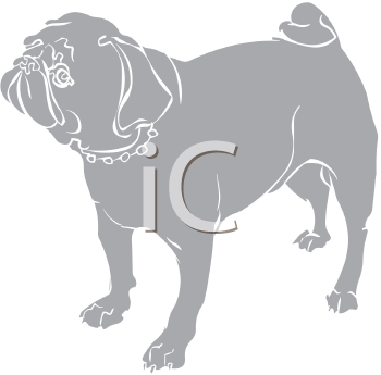 Pet Clipart