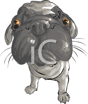 Pet Clipart