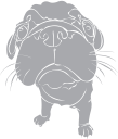 Pet Clipart
