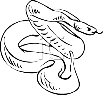 Reptile Clipart