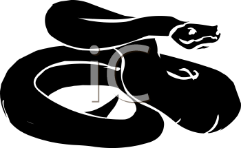 Reptile Clipart