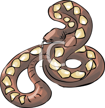 Reptile Clipart