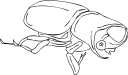 Beetle Clipart