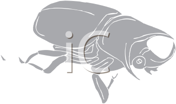 Beetle Clipart
