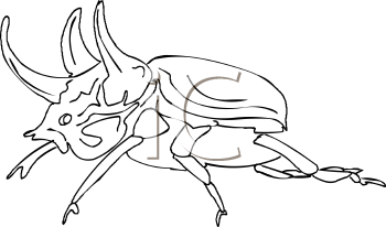 Beetle Clipart