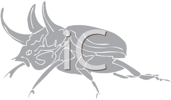 Beetle Clipart