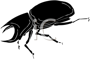 Beetle Clipart