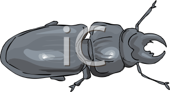 Mammal Clipart