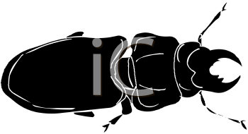 Mammal Clipart