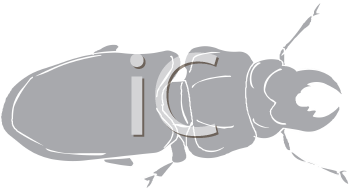 Mammal Clipart