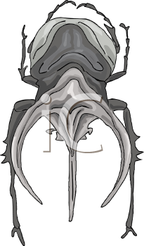 Beetle Clipart