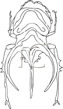 Mammal Clipart