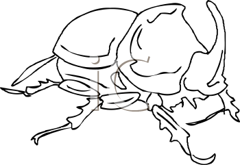 Mammal Clipart