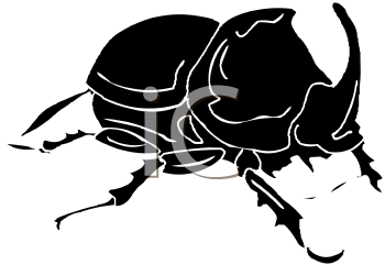 Beetle Clipart