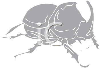 Beetle Clipart
