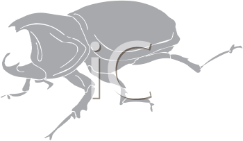 Mammal Clipart