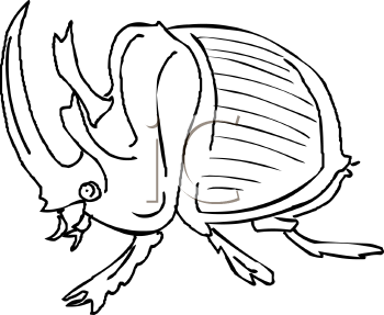 Beetle Clipart