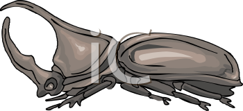 Mammal Clipart