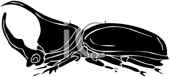 Mammal Clipart