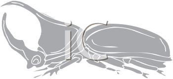 Beetle Clipart