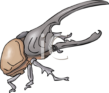 Mammal Clipart