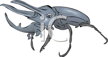 Mammal Clipart