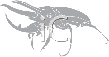 Beetle Clipart
