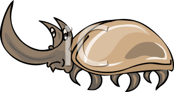 Beetle Clipart