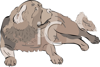 Pet Clipart