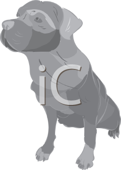 Pet Clipart