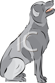 Pet Clipart