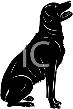 Pet Clipart
